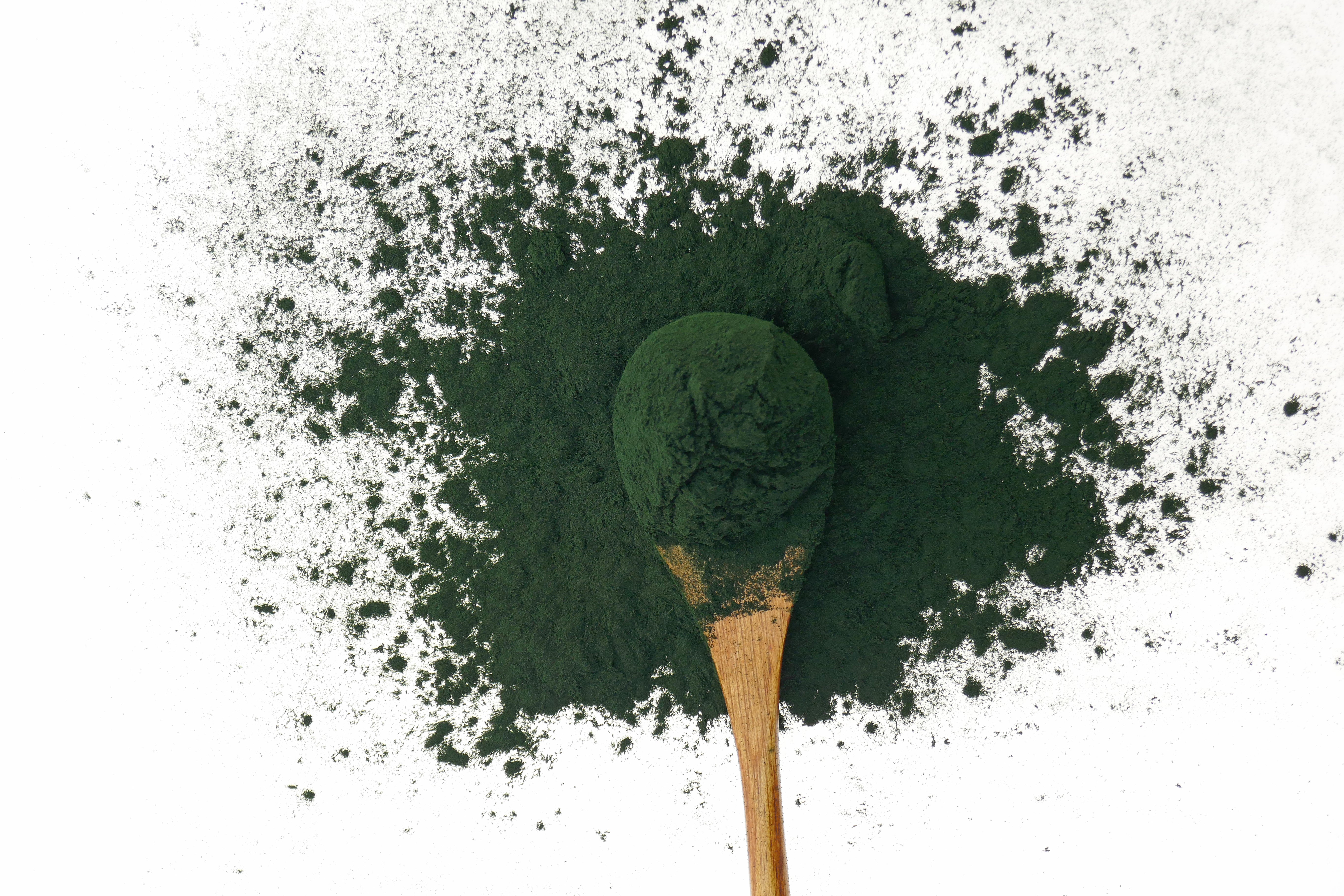 Spirulina Pulver 500g