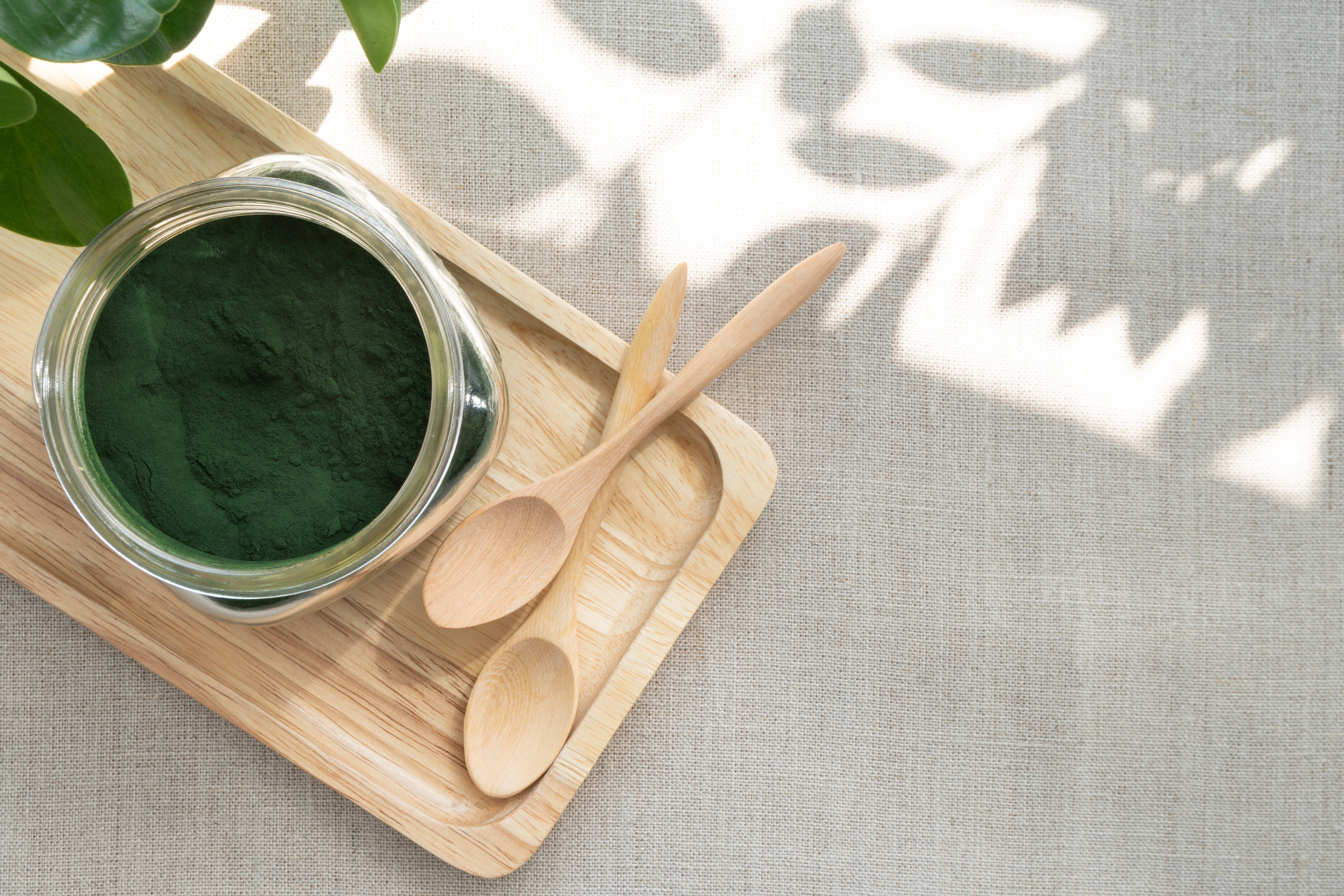 Spirulina Pulver 500g