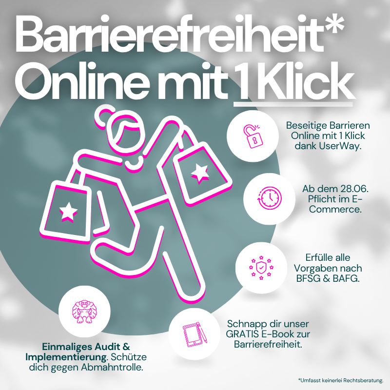 Einmaliges Audit & Implementierung von UserWay