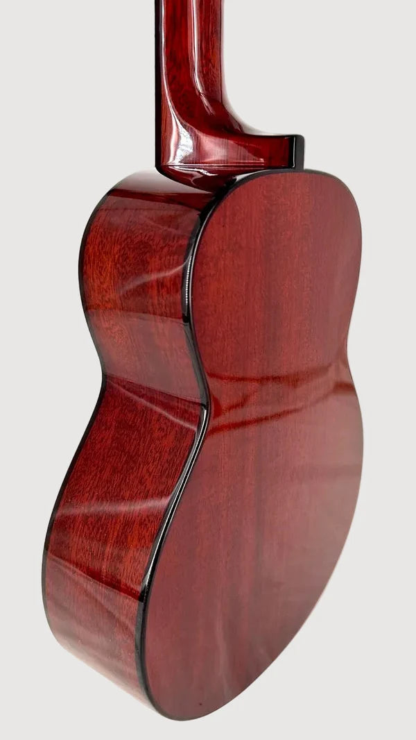 aNueNue AMM2E Concert mit Pickup Ukulele