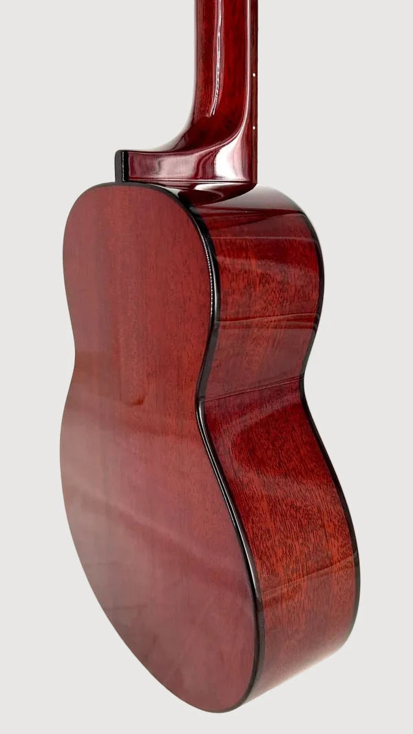aNueNue AMM2E Concert mit Pickup Ukulele