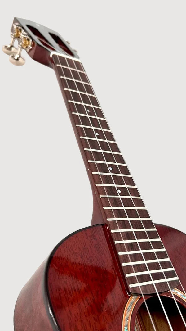 aNueNue AMM2E Concert mit Pickup Ukulele