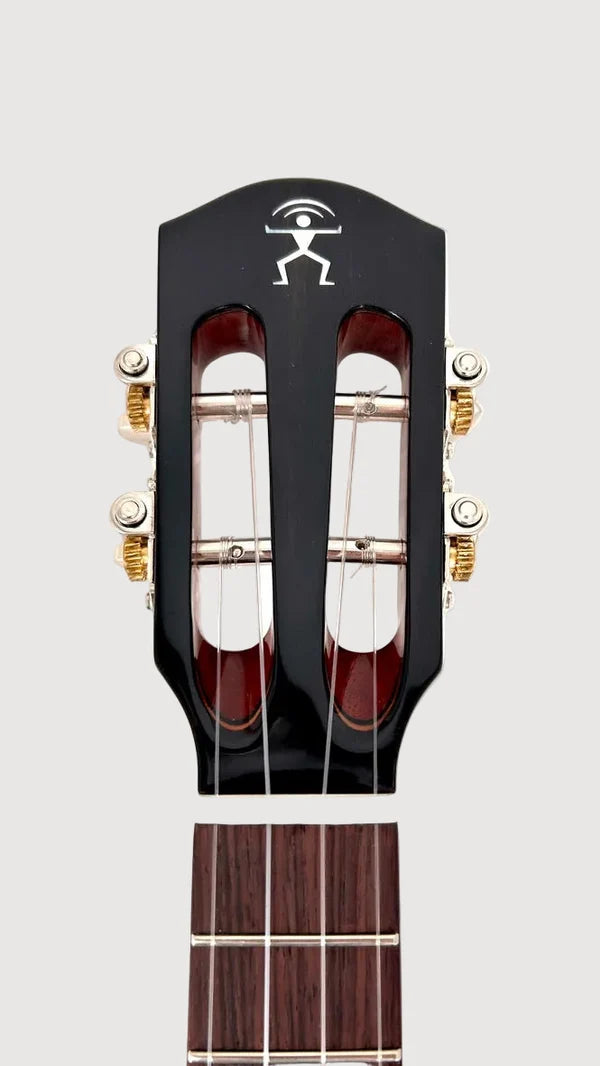 aNueNue AMM2E Concert mit Pickup Ukulele