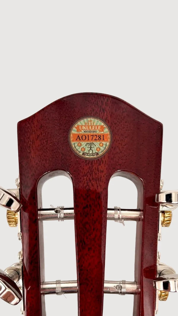 aNueNue AMM2E Concert mit Pickup Ukulele